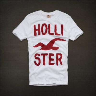 Hollister Men Shirts-314